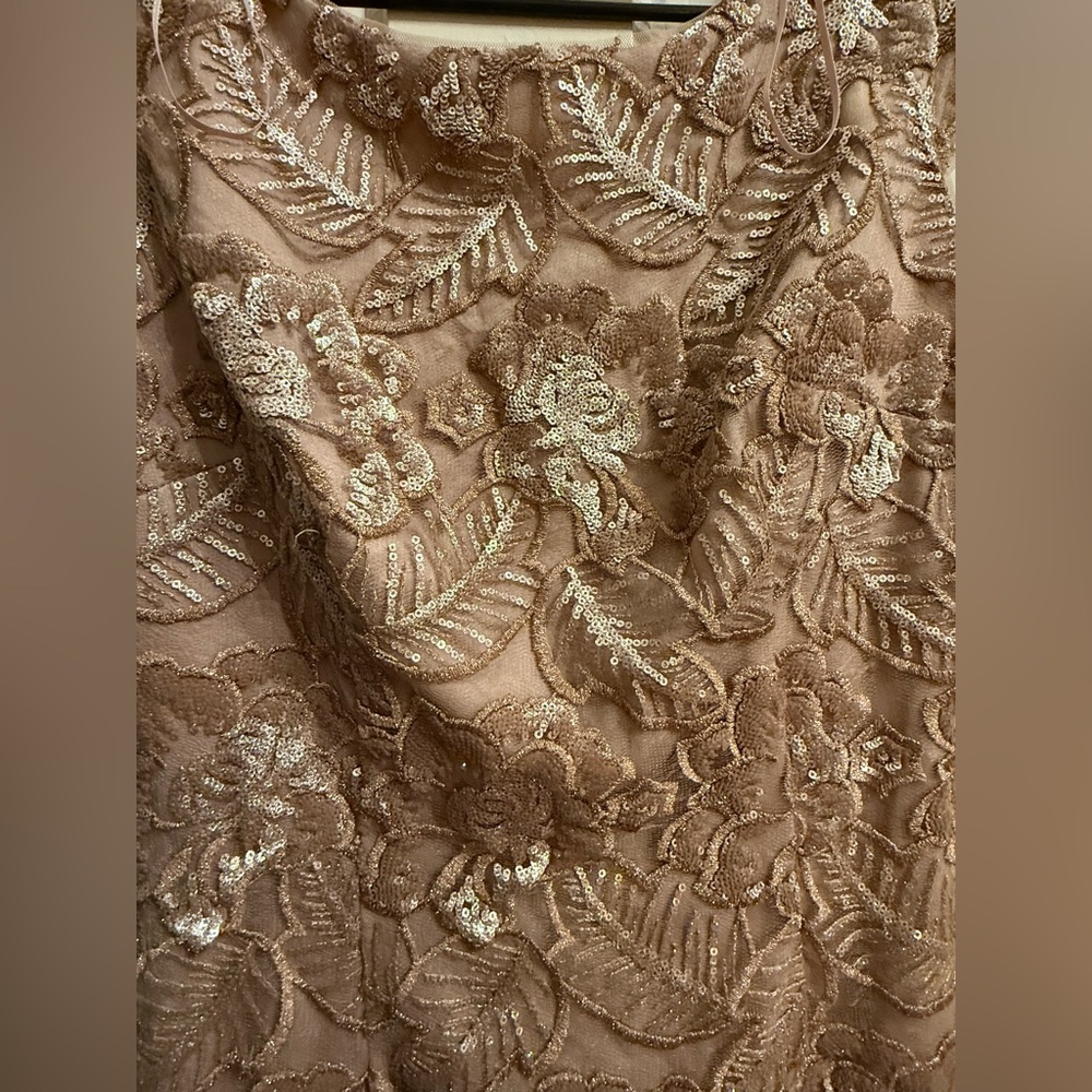 Alex Evenings Beige Floral Lace Midi Dress - Picture 2 of 4